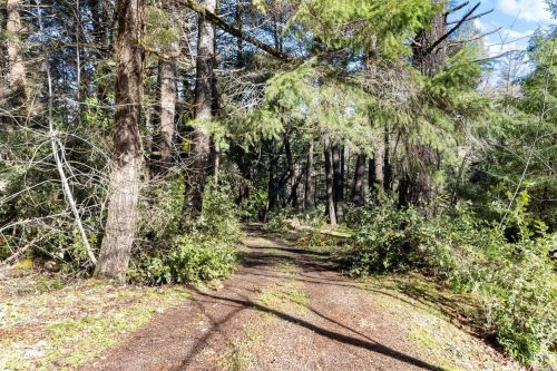 4340 Blackhawk Dr, Willits CA  95490-8775 exterior