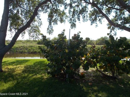 443 Papaya Cir, Sebastian, FL 32976-6852