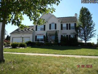 4736 Stockbridge Dr, Medina, OH 44256-6319