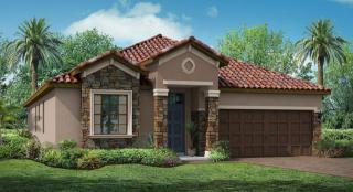 11864 Frost Aster Dr, Riverview, FL 33579-4100