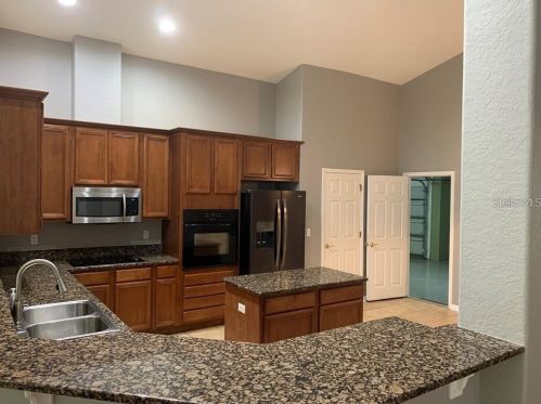 10528 Deerberry Dr, Land O Lakes FL  34638-6947 exterior