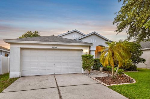 19605 Bellehurst Loop, Land O Lakes, FL 34638-8041