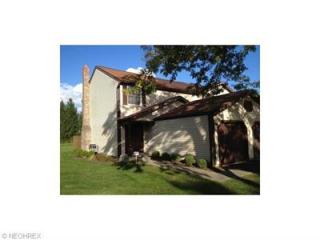 9676 Idlewood Dr, Twinsburg, OH 44087-1630