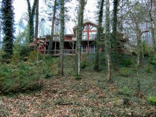 555 Ownby Dr, Gatlinburg, TN 37738-5728