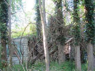 735 Hyatt Rd, Southold, NY 11971-3131