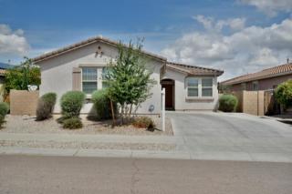 17716 Desert Bloom St, Goodyear AZ  85338-4716 exterior