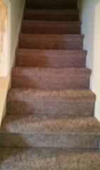 641 Northampton St, Wilkes Barre PA  18702-7431 exterior