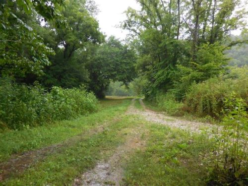 3 Lilly Ln, Crawford, TN 38554