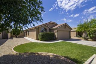 8263 Plata Ave, Mesa, AZ 85212-1616