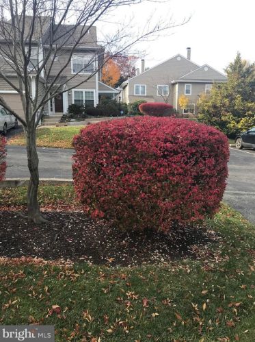 295 Stanton Ct, Glen Mills, PA 19342-2033
