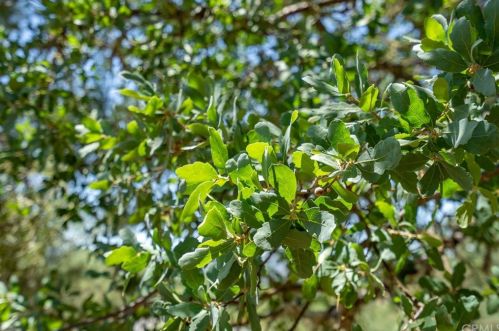 2178 Ridge Rider Rd, Lake Nacimiento CA  93426-9605 exterior