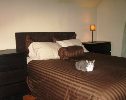 115 Winthrop St, Taunton MA 02780-4124 exterior