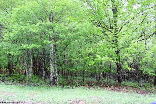 30 Cherry Ridge Rd, Dryfork, WV 26263