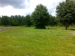 16907 Leclare Estates Pl, Lutz, FL 33558-4849