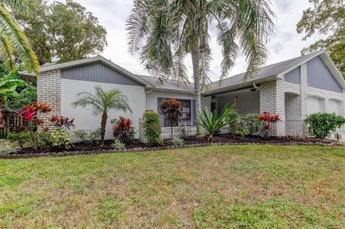 2620 Blossom Lake Dr, Tarpon Springs, FL 34691-6770