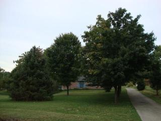 401 Bracht Piner Rd, Flingsville KY  41030-8209 exterior