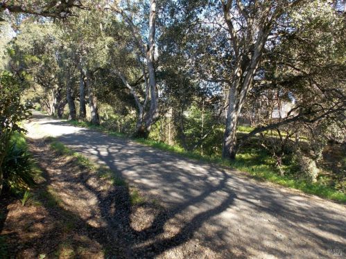 1564 Cunningham Way, Santa Rosa CA  95403-2342 exterior