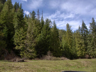 18423 Latour Creek Rd, Rose Lake, ID 83810-9211