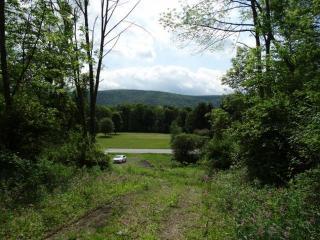 533 State Highway 166, Cooperstown, NY 13326-4811