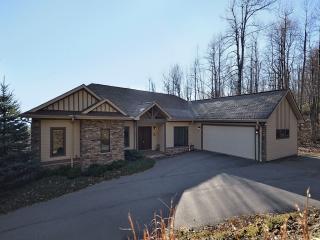 407 Gateway Dr, Hendersonville NC  28739-8170 exterior