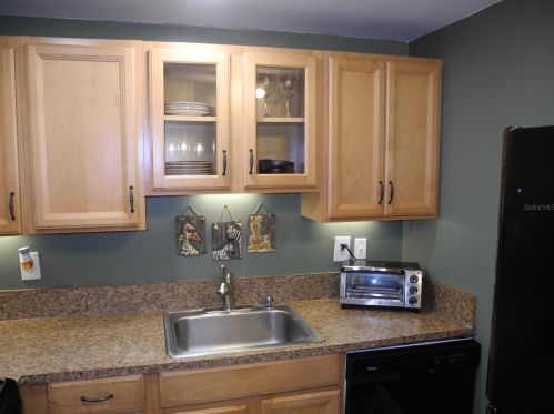 18717 Hamilton St, Lutz FL  33549-3820 exterior