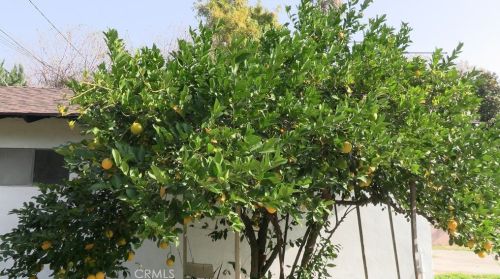 754 Marshall Blvd, San Bernardino CA  92404-2431 exterior