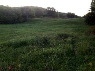 135 Garrett Mill Rd, Livingston, TN 38570-5633