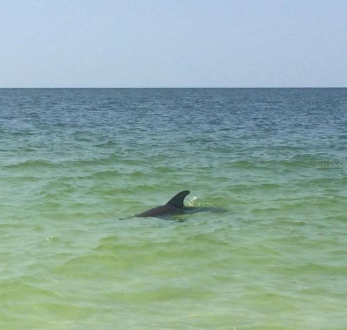 3719 Floramar Ter, New Port Richey FL  34652-3100 exterior