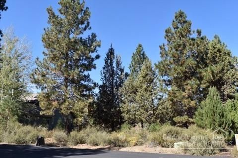 19565 Blue Lk Loop, Bend OR  97702-1927 exterior