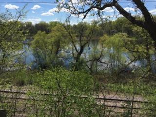 1425 Evergreen Ln, Minneapolis, MN 55441-4805