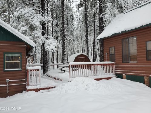 123 Sky Hi Dr, Pinetop AZ  85935-8802 exterior
