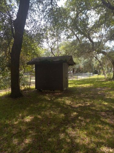 172 172nd Ct, Silver Springs, FL 34488-4834