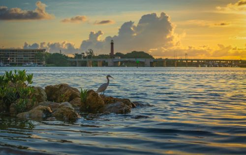 1100 Indiantown Rd, Jupiter FL  33477-5140 exterior