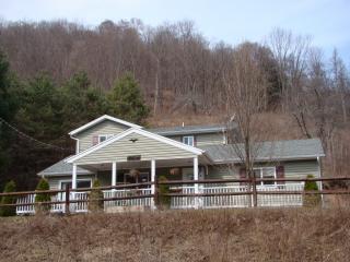1983 First Fork Rd, Austin, PA 16720-1415