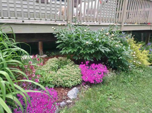 23 Jackson Rdg Rd, Danbury NH  03230-4147 exterior