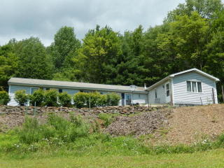 828 Green Creek Rd, Fairmount Spr, PA 17814-8129