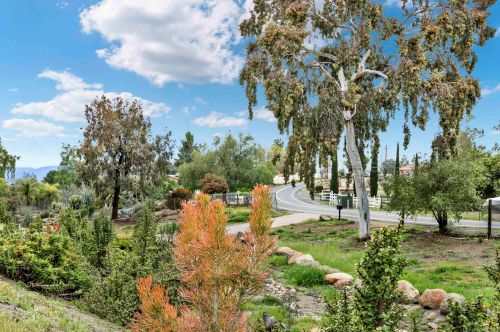 2855 Victoria Dr, Alpine CA  91901-3669 exterior