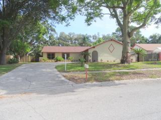 716 Granite Rd, Brandon, FL 33510-3543