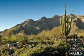 2191 Desert Garden Dr, Tucson, AZ 85718-7848