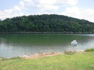 1238 Whites Creek Ln, Decaturville, TN 38329-5527