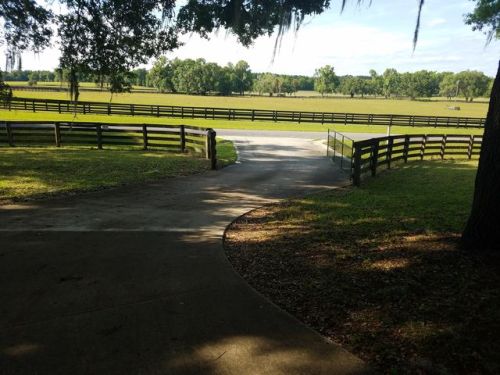 5320 144th Pl, Flemington, FL 32686-3918