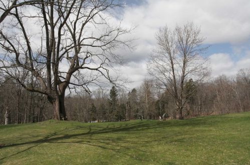 98 Miller Rd, Rhinebeck NY  12572-3558 exterior