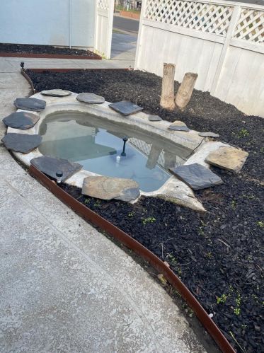 226 Oregon St, Ripon CA  95366-2145 exterior