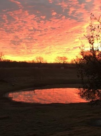 1894 Chimney Valley Rd, Blanco, TX 78606-4645