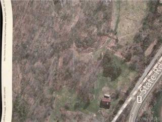 9209 State Rd, Colden, NY 14033-9601