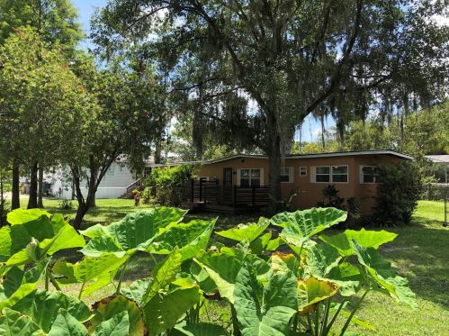 21871 Pineywood Loop, Land O Lakes, FL 34639-3753