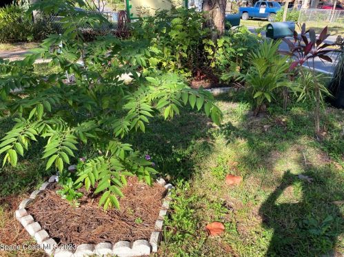 659 Newfound Harbor Dr, Merritt Island FL  32952-2731 exterior