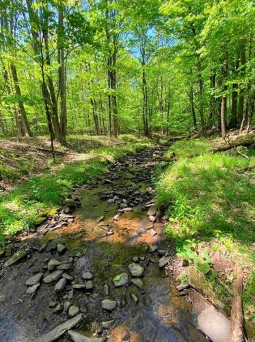 171 Cole Rd, Hurleyville NY  12747-5036 exterior