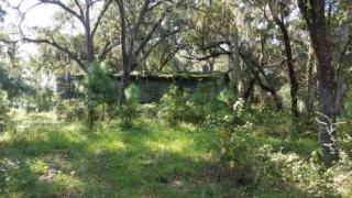 16656 49th Street Rd, Ocklawaha, FL 32179-2876
