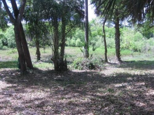 64 Madera Rd, De Bary FL 32713-2921 exterior